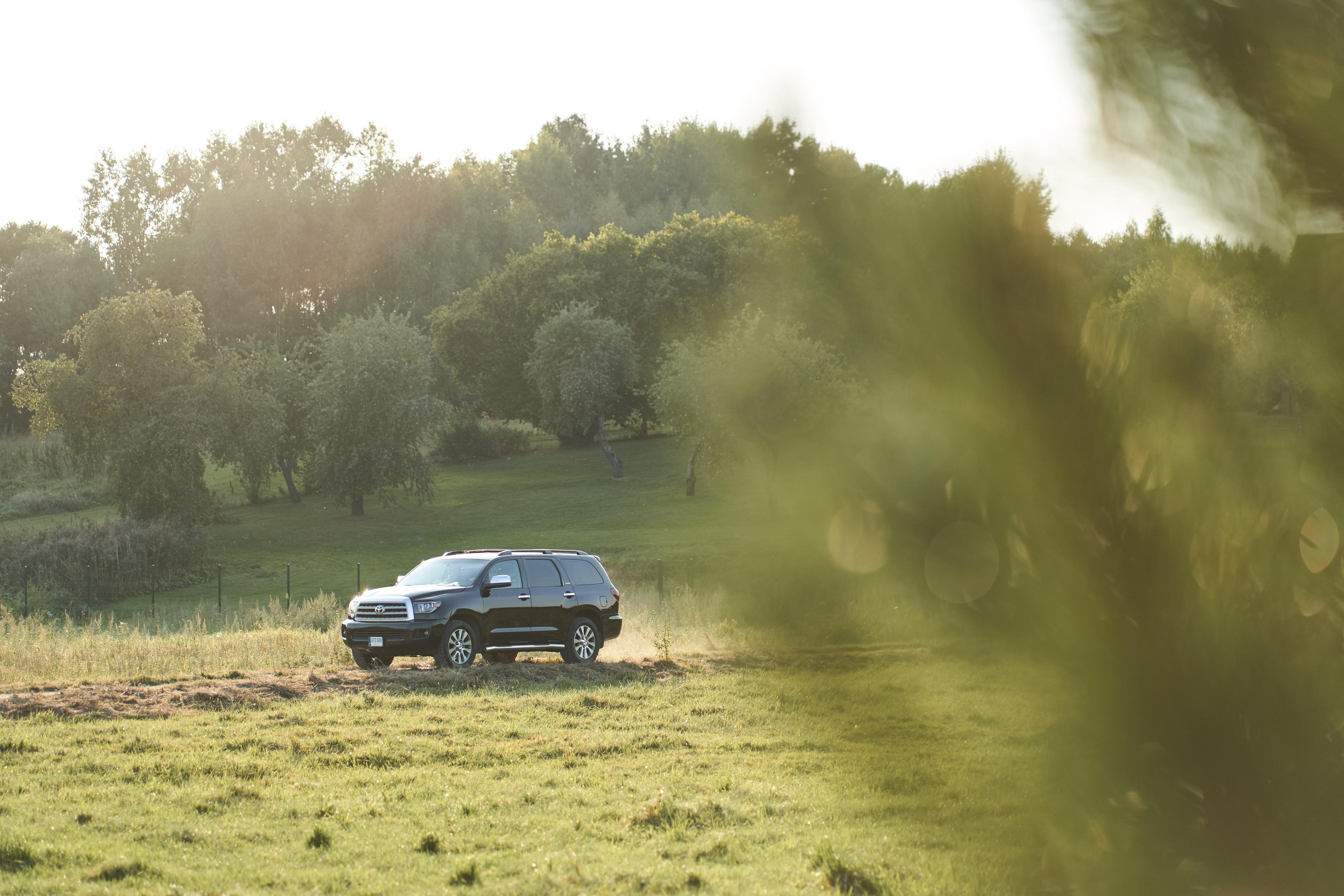 Augustės ir Dovydo vestuvių fotosesijos anonsas. Misevic Wedding — Jausminga ir Profesionali Vestuvių Fotografija