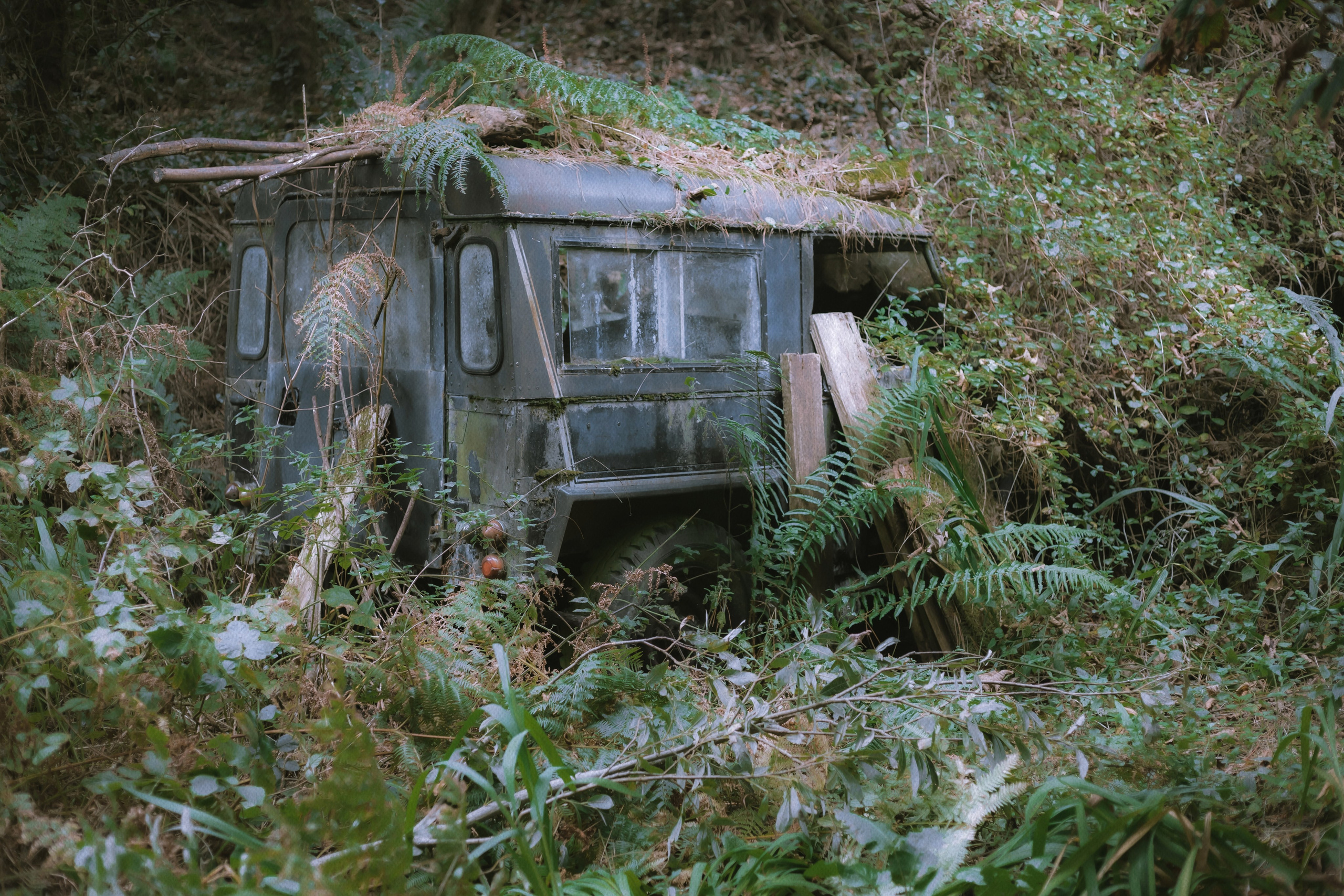 Sherkin Island. Sergey Kior