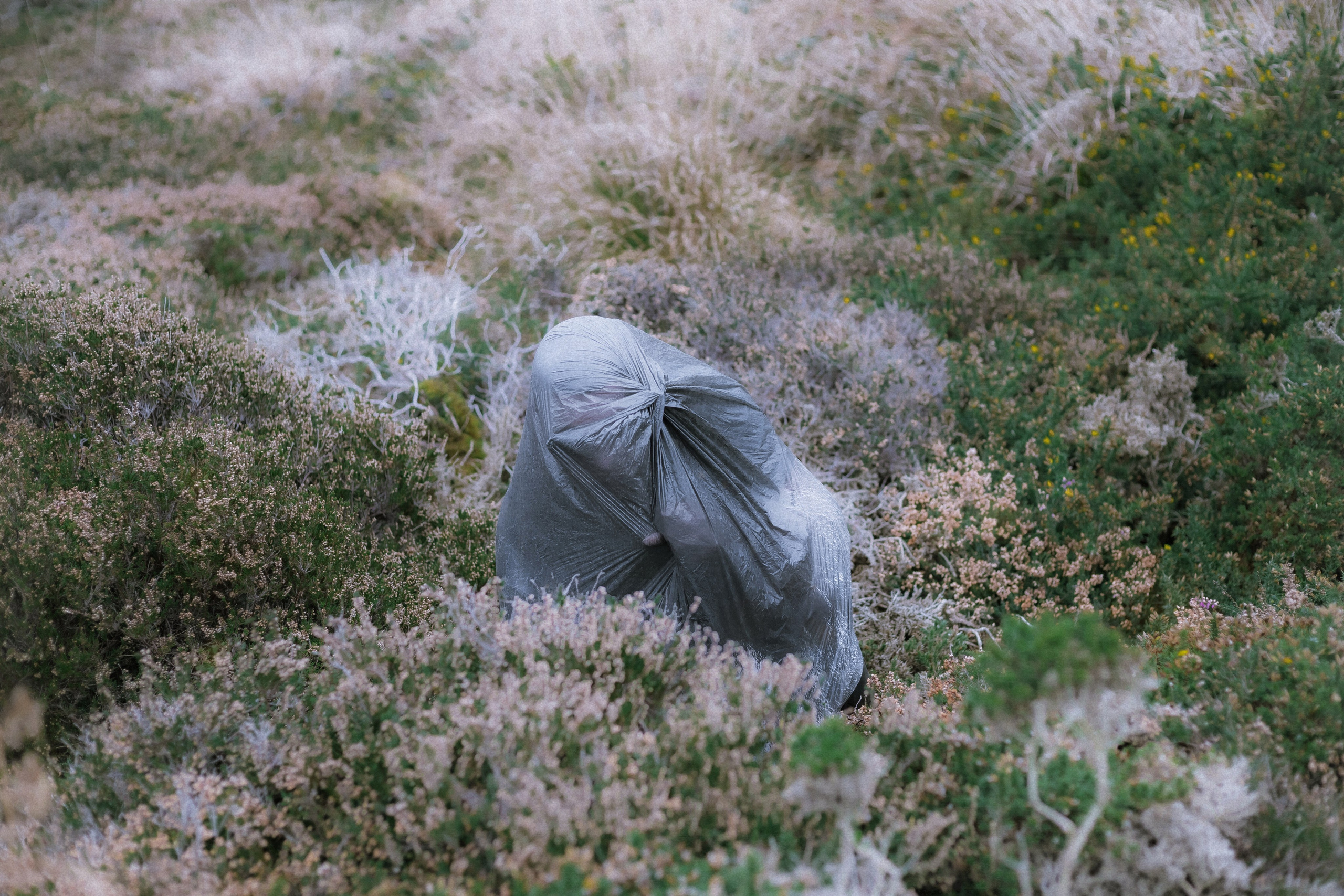 Sherkin Island. Sergey Kior