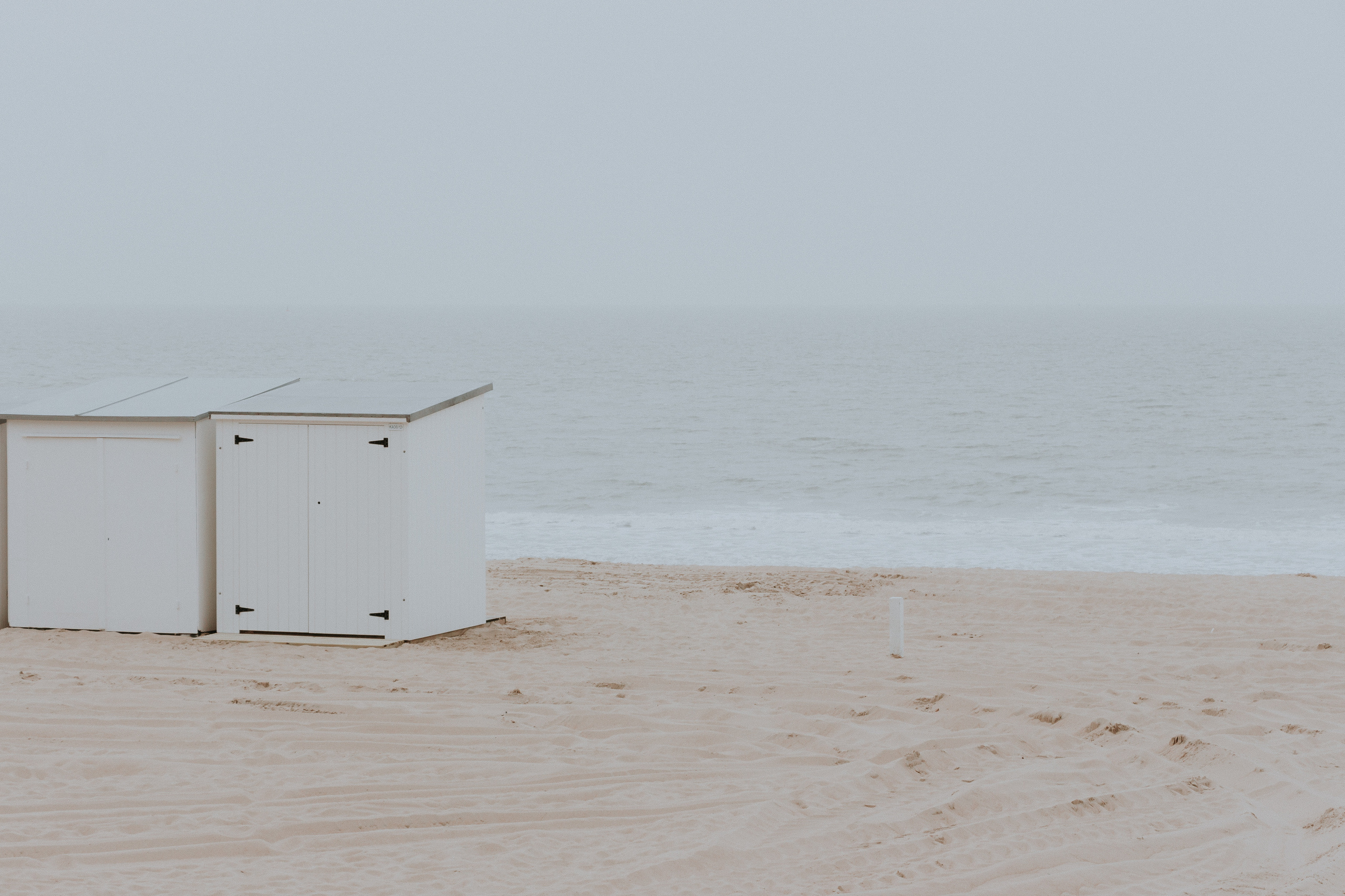 The Life and Adventure of Shed Number XII