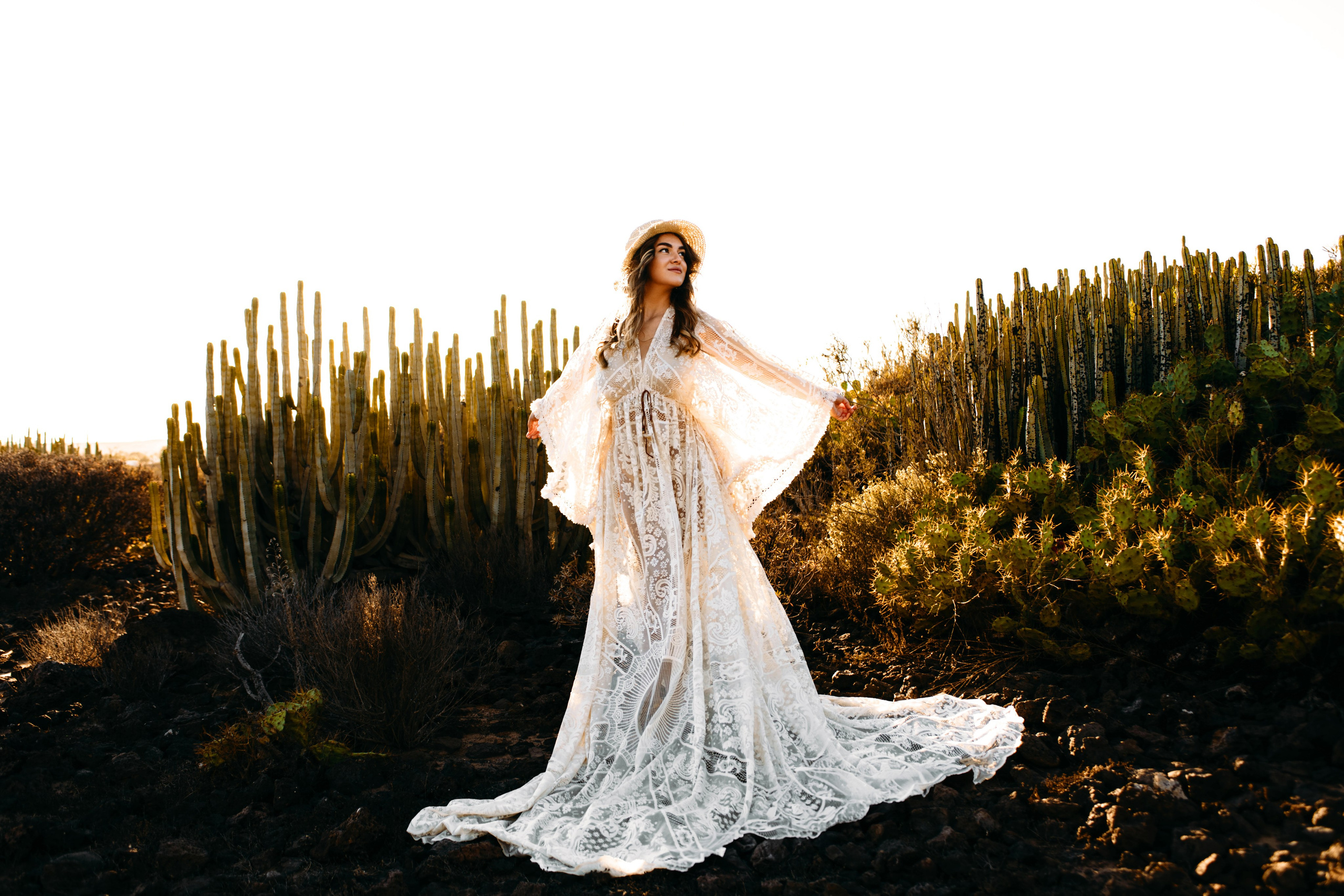 Desert Rose