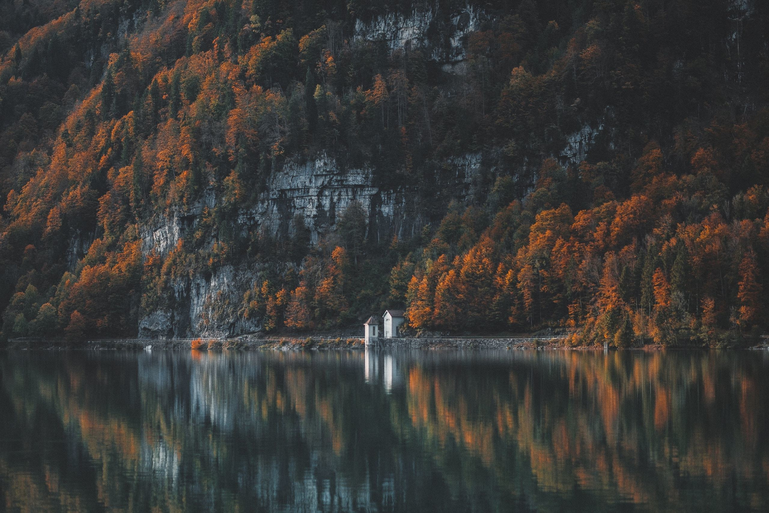 Услуги. Портретний та репортажний фотограф в Києві Юрій Корнійчук