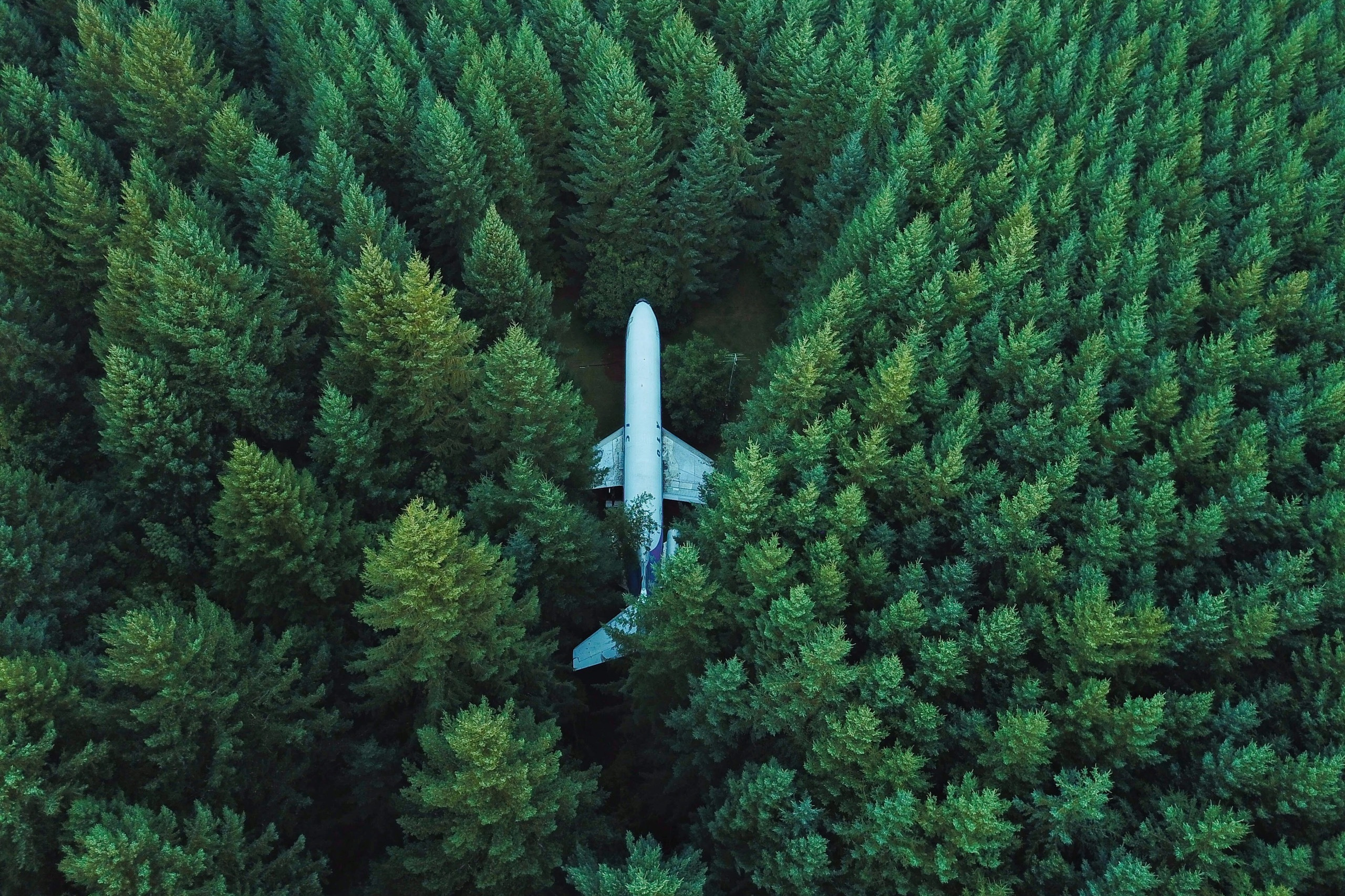 Услуги. Портретний та репортажний фотограф в Києві Юрій Корнійчук