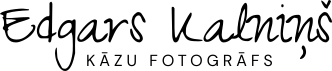 Kāzu foto piedāvājums