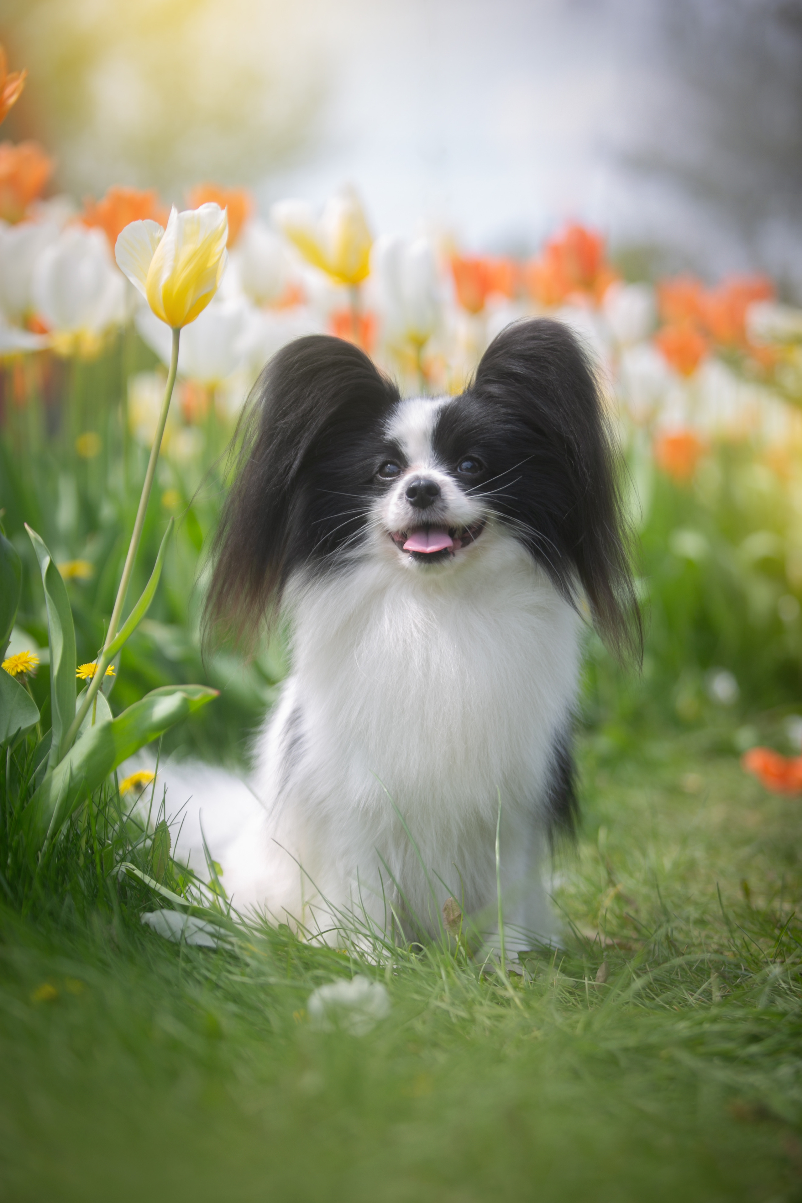 Фотошкола. Фотограф Катерина Мумжинська
