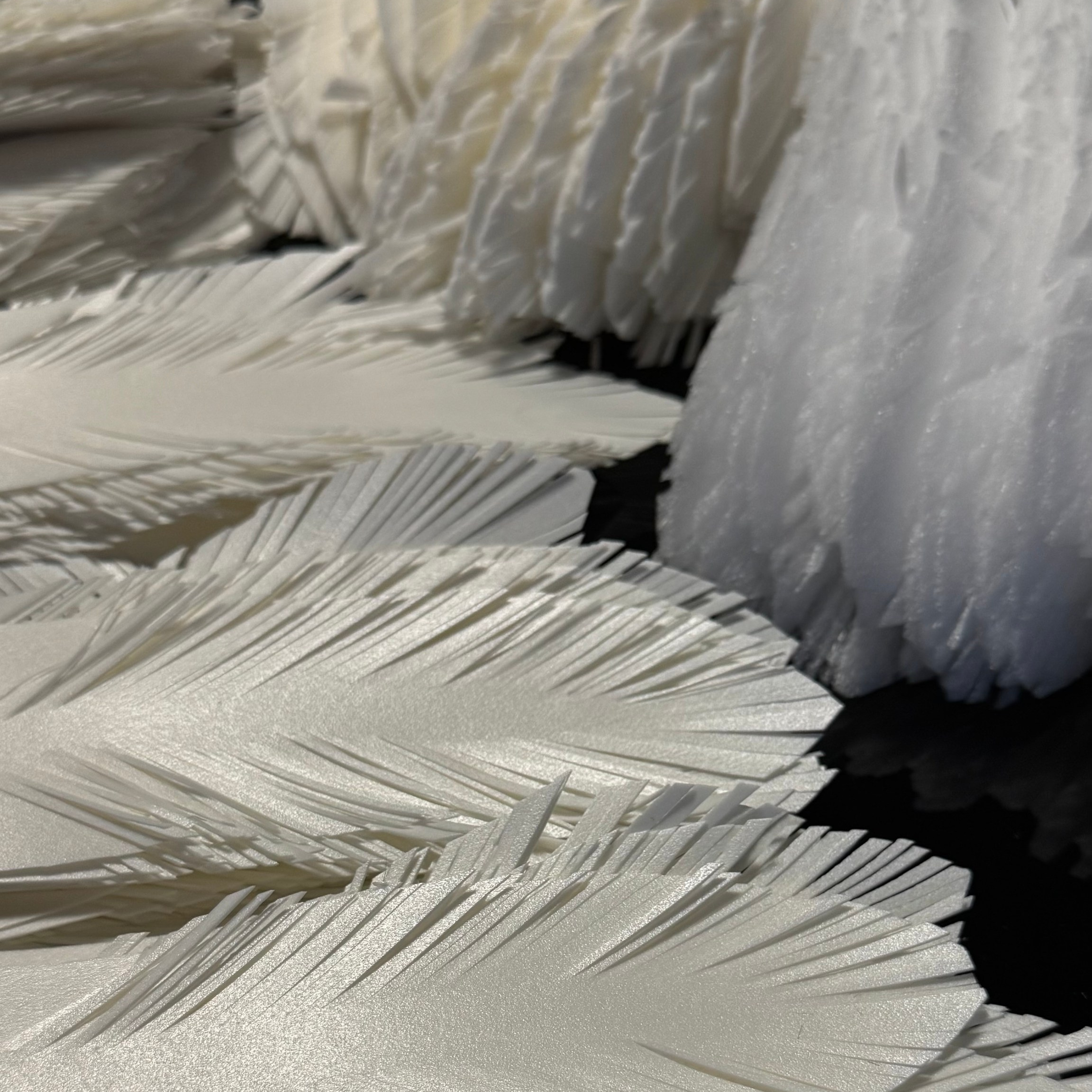Process. Anna Arsenjeva | Photographer and Creator