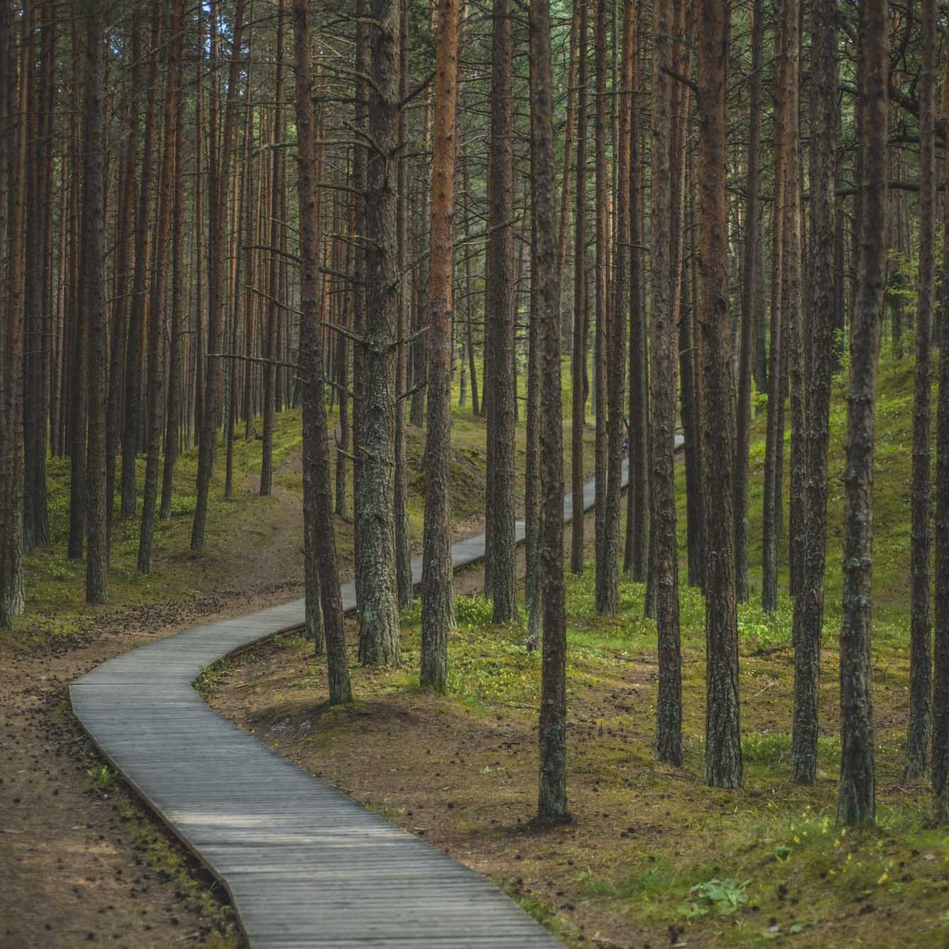 Filmēšana ar dronu – ceļvedis iesācējiem. Video shooting and creating with phone, iPhone Video School